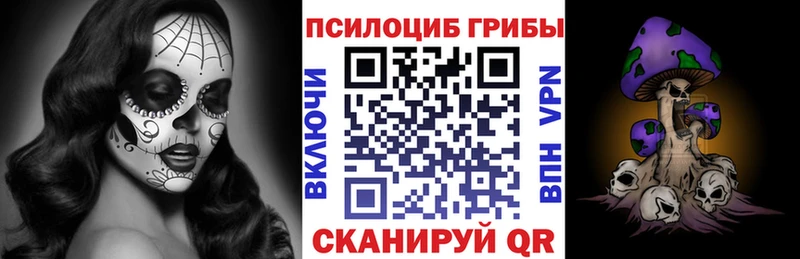Псилоцибиновые грибы Cubensis  Дзержинский 